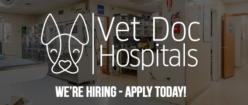 VetDocJobs logo